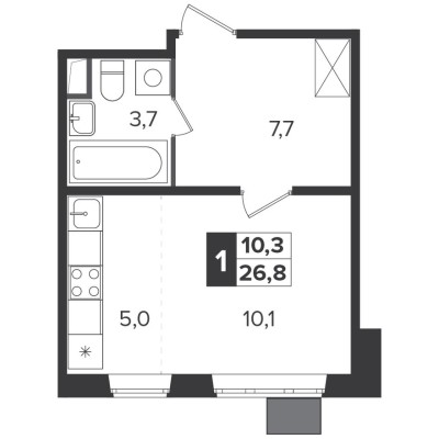 Студия-квартира