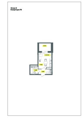 Студия-квартира