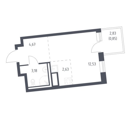 Студия-квартира