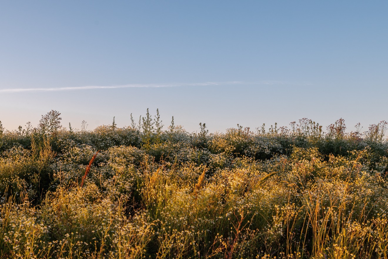 1-й Ленинградский