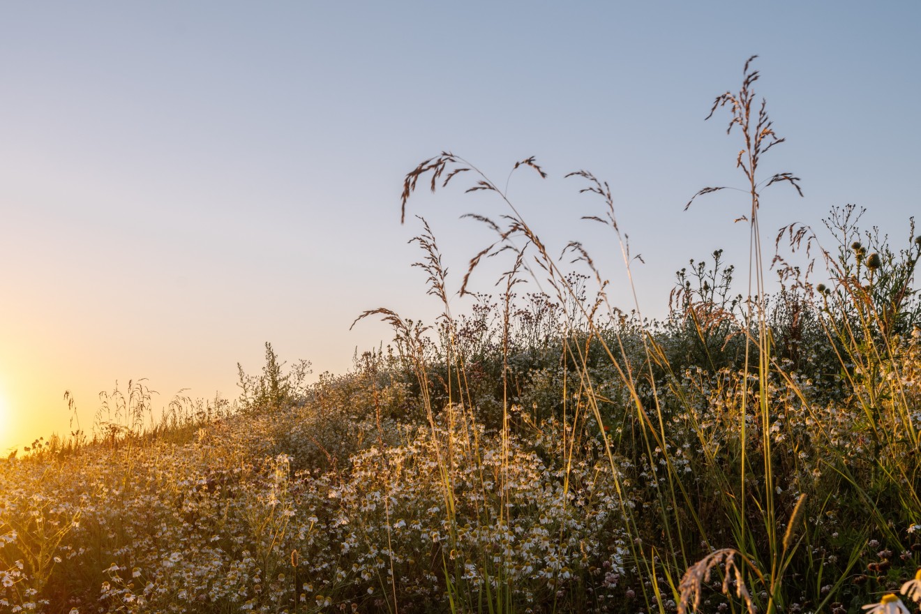1-й Ленинградский