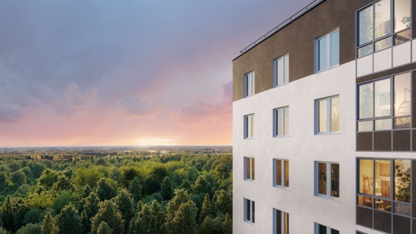 Клюква.Парк