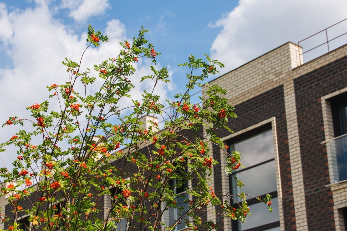 Твоя Привилегия