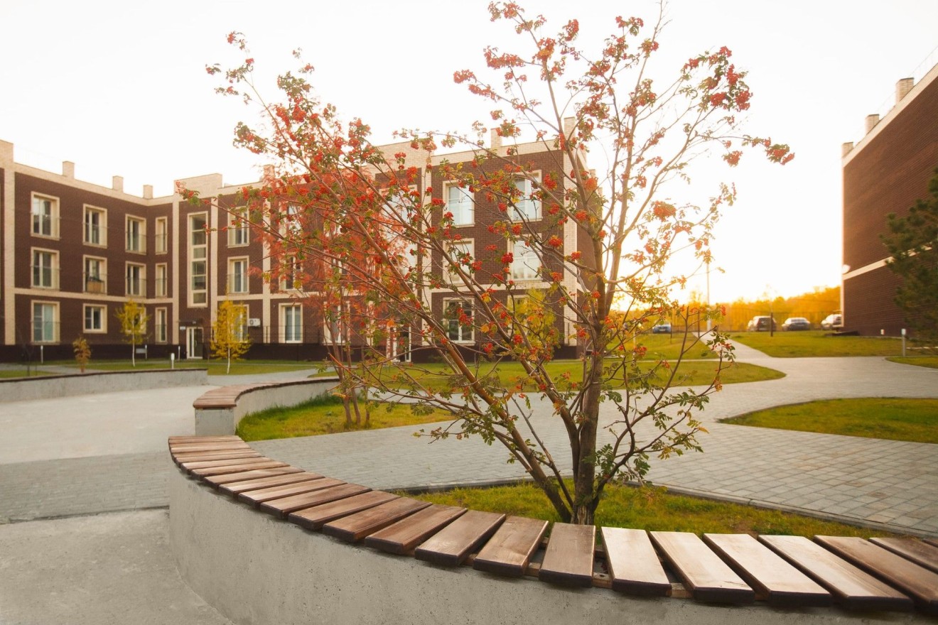 Твоя Привилегия