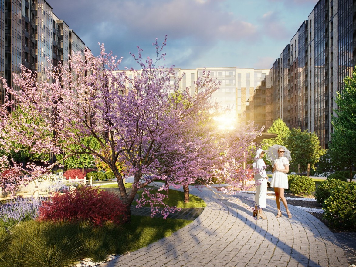 Аквилон Stories