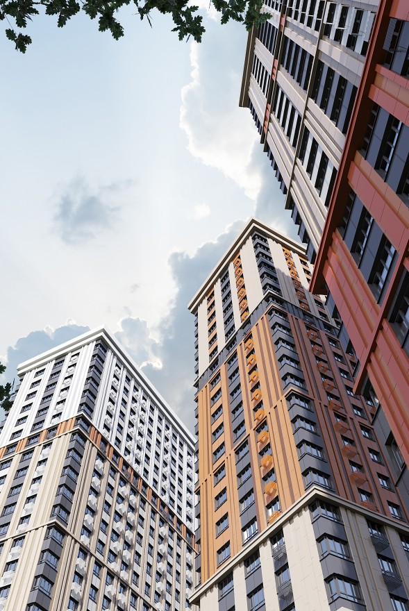 Лесная коллекция