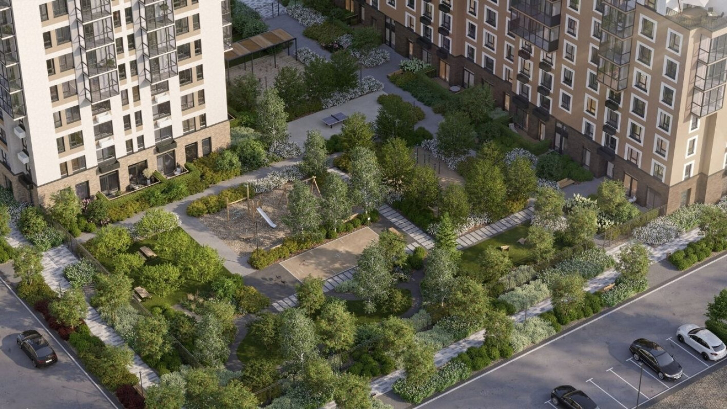 Брусника в Новоселье