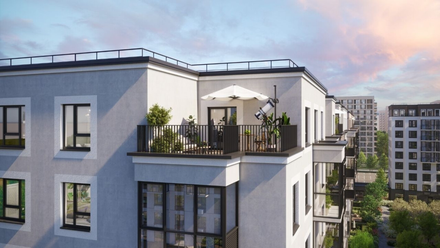 Брусника в Новоселье